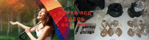 каннабис Новозыбков