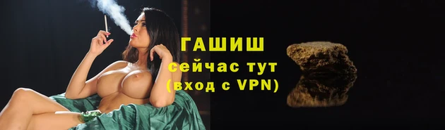 крисы Новокубанск