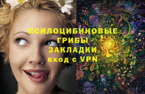гидропоника Няндома