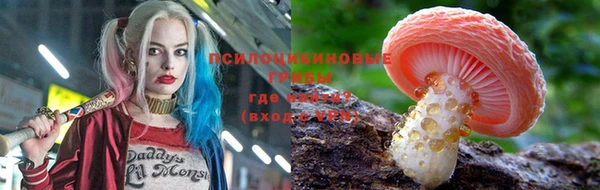 гидропоника Няндома