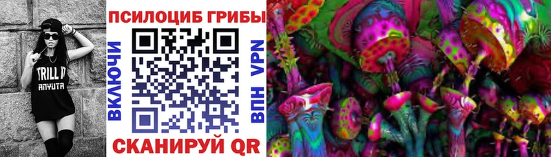 Псилоцибиновые грибы мухоморы  что такое   Серафимович 